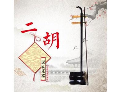 招聘宣城二胡家教老师